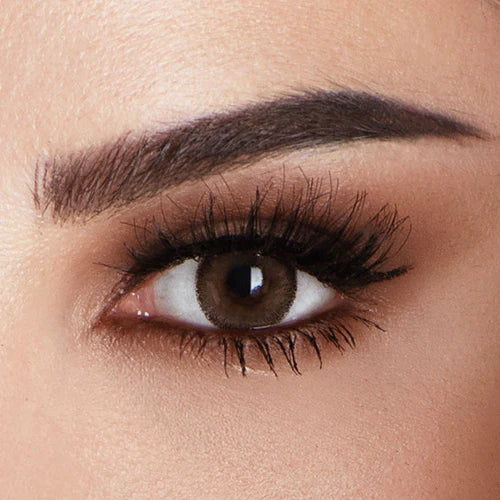Amara Cocoa Contact Lenses - Monthly - Pack of 2